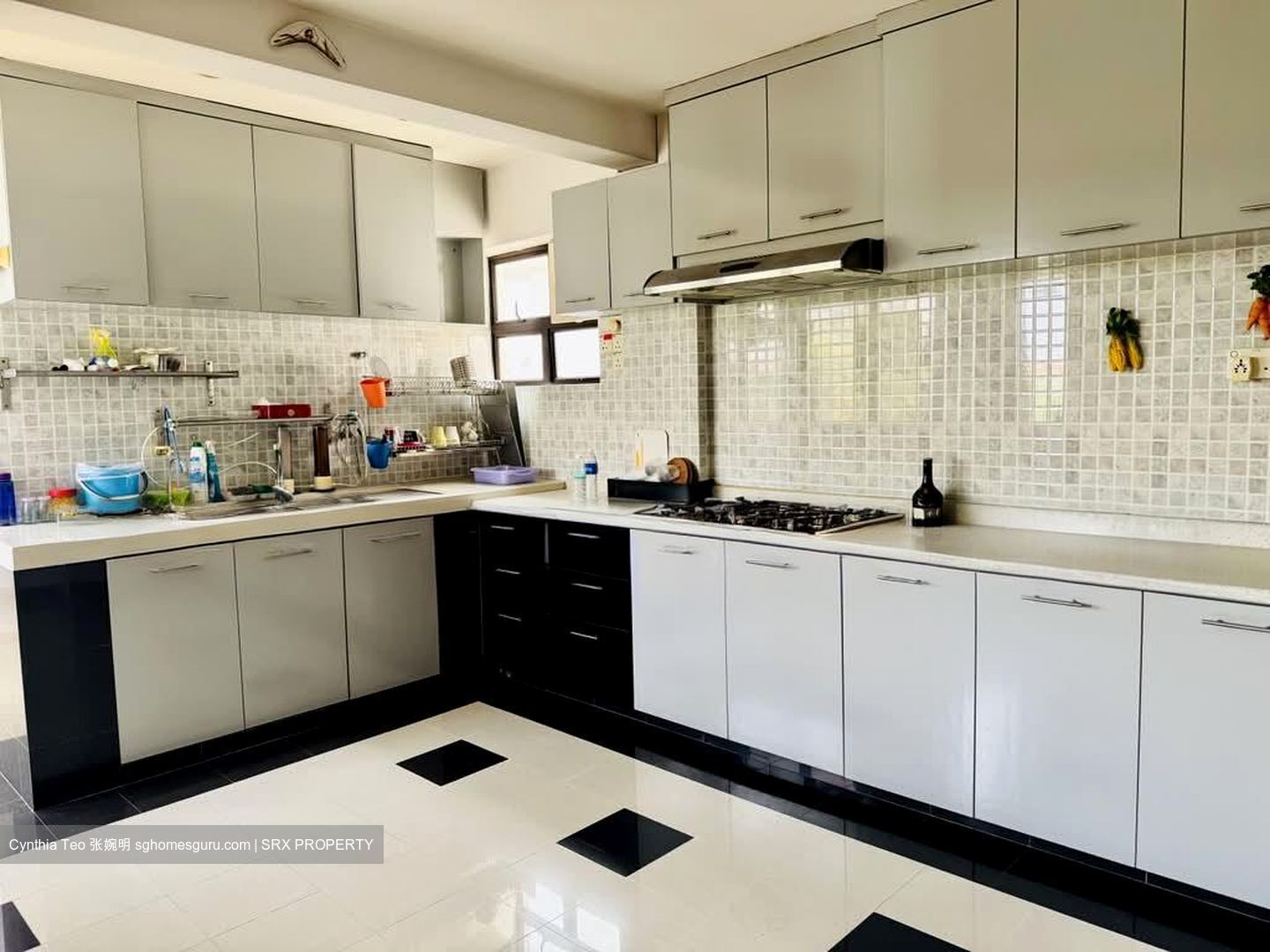 Laguna Park (D15), Apartment #598291831